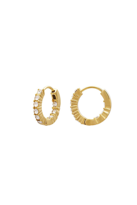 TINY ICY hoops