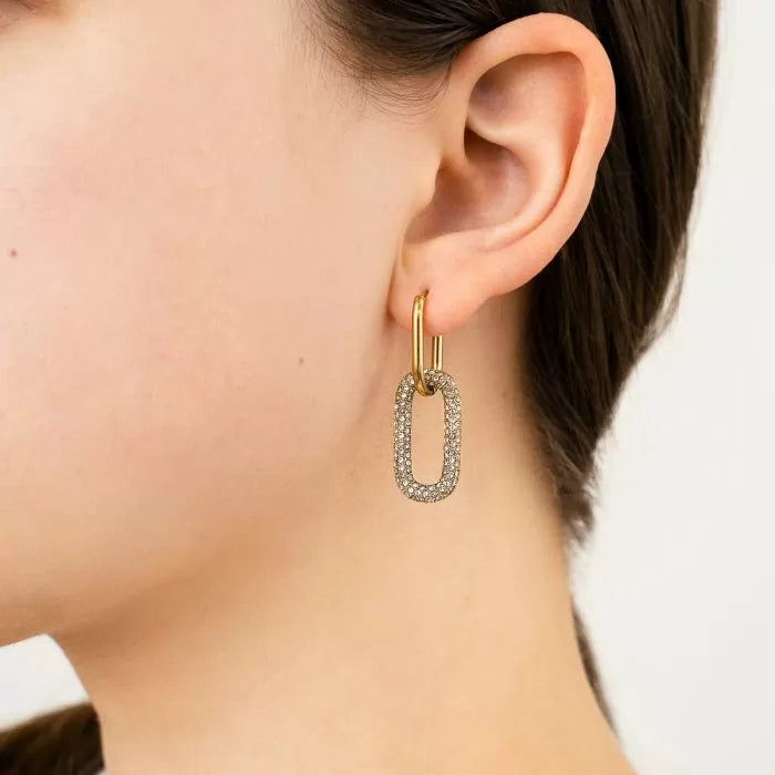 SHINY LINK earrings