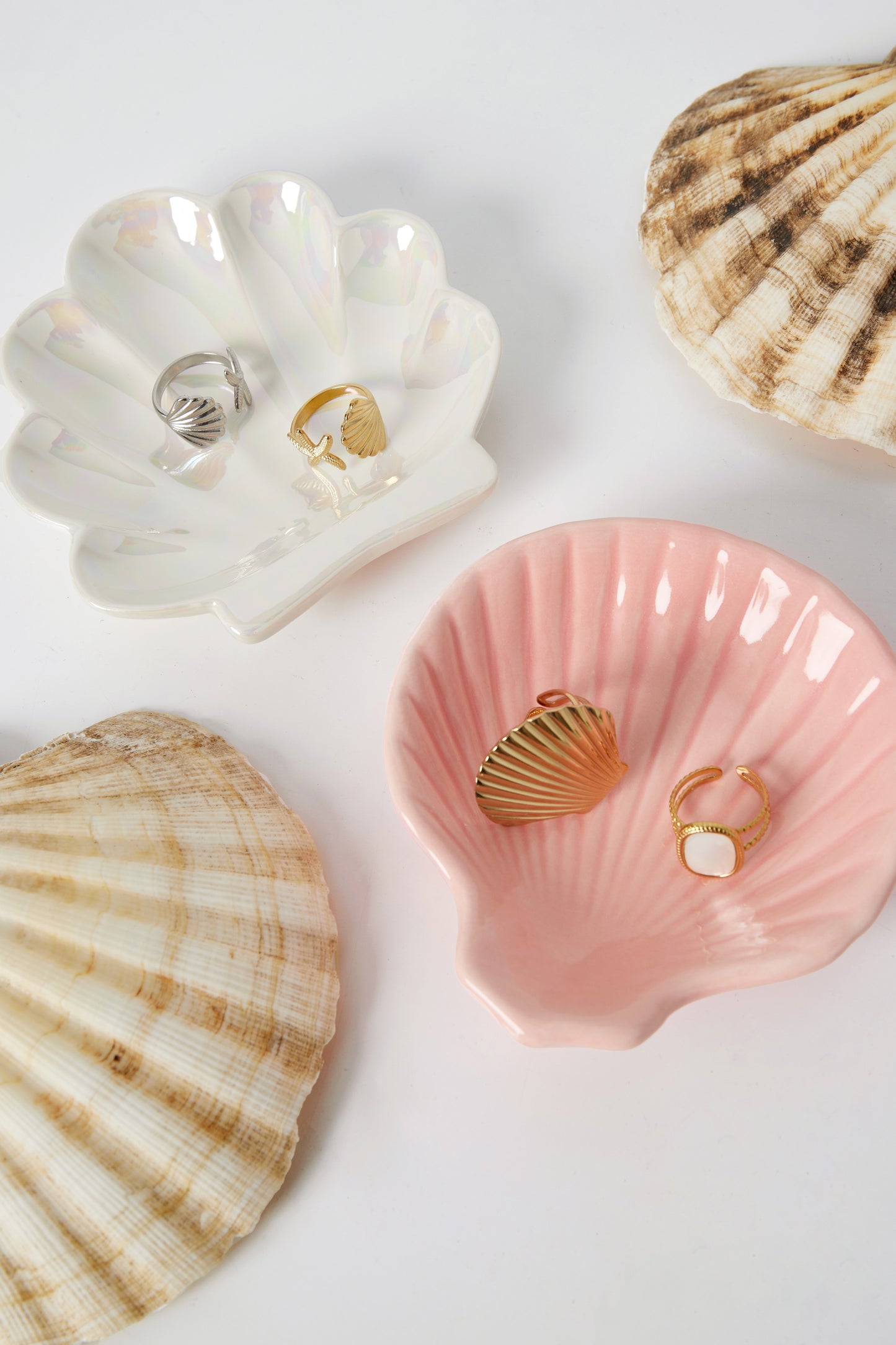 SHELL display