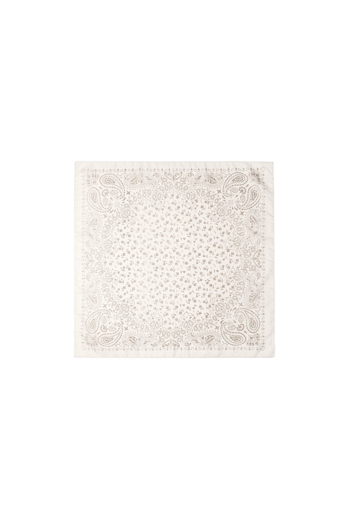 PAISLEY NUDE scarf