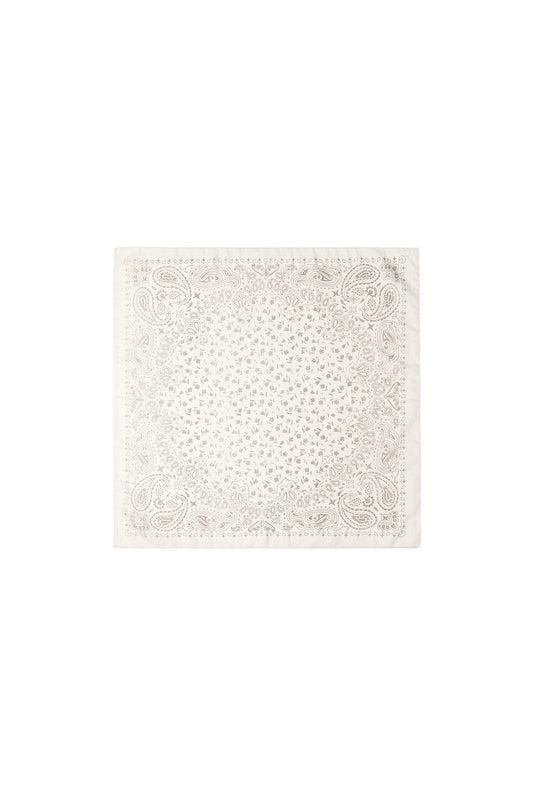 PAISLEY NUDE scarf