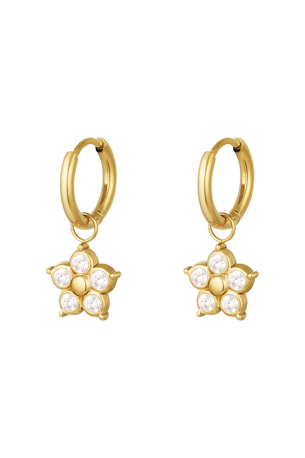 SPARKLY IRIS hoops