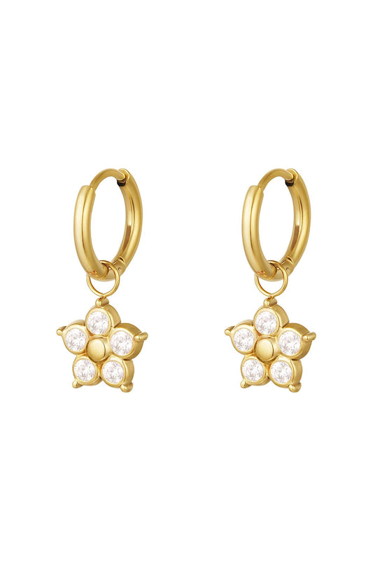 SPARKLY IRIS hoops